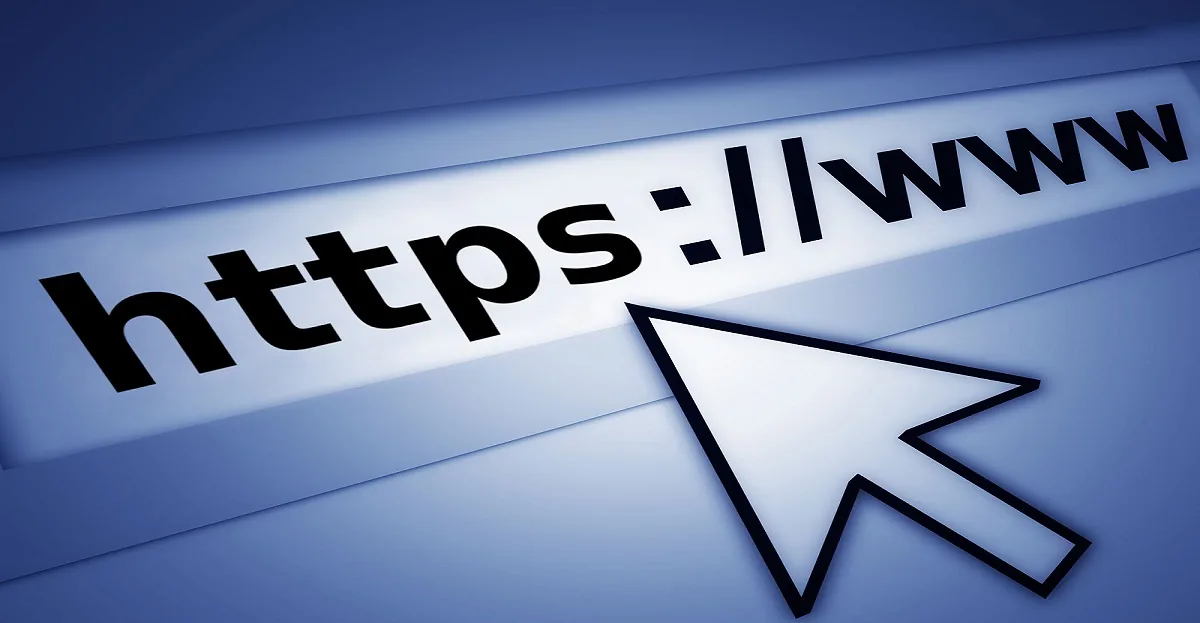 Website development